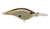 Berkley Berk Frittside 2.75-Inch 1/2 Ounce Honey Shad Size 9
