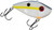 Strike King SK RedeEye Shad 1/2 Inch Sexy Shad Strike King SK RedeEye Shad 1/2 Inch Sexy Shad