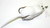 Primos Trophy Grunter Deer Call - Model 707 for Realistic Deer Sound Simulation