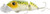 ARBOGAST G620-6 Jittrbug 2.5-inch 3/8-inch FROG White Belly ARBOGAST G620-6 Jittrbug 2.5-inch 3/8-inch FROG White Belly