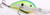 Strike King SK Pro 5/8 Inch X-Deep Citrus Shad Soft Plastic Lure