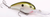 Strike King SK PRO 5/8 Inch X-Deep Tenn Shad Fishing Lure – Durable Soft Plastic for Deep Water Bass Fishing