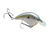 Strike King SK Chick Magnet Flat-Sided Crankbait - Sexy Shad 2.0 Strike King SK Chick Magnet Flat-Sided Crankbait - Sexy Shad 2.0