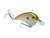 Strike King SK Chick Magnet Crankbait - Green Gizzard Shad Strike King SK Chick Magnet Crankbait - Green Gizzard Shad