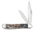 Case Cutlery Peanut 2-Blade Pocket Knife with Abalone Handle and Storage Box - Part Number 12025 Case Cutlery Peanut 2-Blade Pocket Knife with Abalone Handle and Storage Box - Part Number 12025