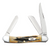 CASE Cutlery Model 03578 3-Blade 6.5-inch BoneStag Pocket Knife CASE Cutlery Model 03578 3-Blade 6.5-inch BoneStag Pocket Knife