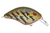 SPRO/GAMAKATSU Speed Demon 55 Natural Craw Fishing Lure (Part #SSD55NTC) SPRO/GAMAKATSU Speed Demon 55 Natural Craw Fishing Lure (Part #SSD55NTC)