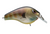 SPRO/GAMAKATSU Spro Fat Papa SB 70 Blue Gill Swimbait