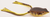 SPRO Gamakatsu BronzeEye Frog 65 Red Ear – Topwater Bass Lure for Casting and Trolling SPRO Gamakatsu BronzeEye Frog 65 Red Ear – Topwater Bass Lure for Casting and Trolling