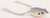 SPRO/GAMAKATSU BronzeEye Frog 65 Nasty Shad Lure SPRO/GAMAKATSU BronzeEye Frog 65 Nasty Shad Lure