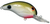 BANDIT LURES BANDIT DR 2-Inch Tennessee Shad BDT202 BANDIT LURES BANDIT DR 2-Inch Tennessee Shad BDT202