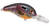 BANDIT LURES BANDIT DR 1/4 2-Inch Sun Perch