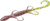 Zoom Bait 6-Inch Lizard 9BG Cotton Candy/Chad Tail - Effective Soft Plastic Lure for Bass Fishing