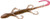 Zoom Bait 6-inch Lizard in Pumpkin Flake – Model 002-14 Zoom Bait 6-inch Lizard in Pumpkin Flake – Model 002-14