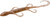 Zoom Bait 6-Inch Lizards Pumpkin - Versatile Soft Plastic Lure for Freshwater Fishing Zoom Bait 6-Inch Lizards Pumpkin - Versatile Soft Plastic Lure for Freshwater Fishing