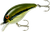 BANDIT LURES BDT101 MR 1/4 2-Inch Baby Bass Crankbait BANDIT LURES BDT101 MR 1/4 2-Inch Baby Bass Crankbait