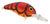 BANDIT LURES MR 1/4 2-Inch Red Spring Craw – Versatile Crawfish Lure for Freshwater and Saltwater Fishing BANDIT LURES MR 1/4 2-Inch Red Spring Craw – Versatile Crawfish Lure for Freshwater and Saltwater Fishing