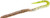 Zoom Bait 6-Inch U-Tale Worm 20 Count - Perfect for Bass and Freshwater Fishing Zoom Bait 6-Inch U-Tale Worm 20 Count - Perfect for Bass and Freshwater Fishing