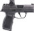 SIG Sauer P365X Micro Compact 9mm Semi-Auto Pistol with RomeoX Optic and Night Sights