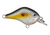 GSM Fishing Gnat Tiny Crank 1/8 oz Sneaky Shad – Versatile Lure for Freshwater and Saltwater Fishing