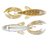 GSM Fishing 4" Rojas Fighting Frog Chick Magnet (7 Pack) - Part Number BBB-4RFF-30