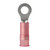 Ancor 22-18 AWG #8 Nylon Ring Terminal - 25-Pack for Marine and Automotive Applications