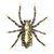 Lunkerhunt LH Phantom Spider 2" 1/4 oz Fang – Versatile Fishing Lure for Spinning and Casting