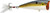 Rebel P6075 REB POP'R 2.5-Inch Foxy Shad Rebel P6075 REB POP'R 2.5-Inch Foxy Shad