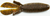 Missile Baits Miss Baby D Bomb 3.65-inch Green Pumpkin Red Missile Baits Miss Baby D Bomb 3.65-inch Green Pumpkin Red