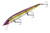Smithwick Perfect 10 Rogue-Lady - Part ADR5282