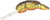 Rebel F77-67 Teeney Wee Crawfish 1.5 Inch - Chartreuse/Brass