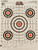 Champion ScoreKeeper 100 Yard Rifle Shooting Targets - 12 Pack with High-Contrast Real Targets