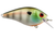 Booyah BYXCS195 XCS1-PERCH 2-5/16 inch Perch