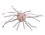 Strike King Tumbleweed Salted White Sauce 4-Pack, Part TWSLT-551