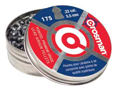 Crosman P022 .22 Caliber Pointed Pellets - 175 Count for Hunting & Plinking