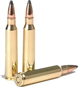 PMC 223 Remington 55 Grain Soft Point Ammunition - Reloadable