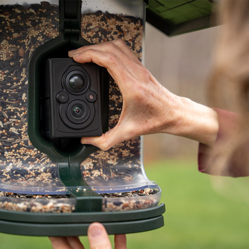FeatherSnap Scout Birdfeeder - 4MP Solar-Powered Wildlife Camera with AI Bird Identification