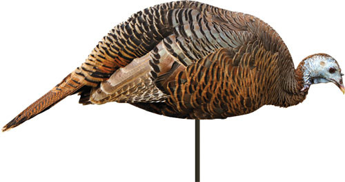 Montana Decoy Company M0043 Turkey Hen Decoy – Realistic Feeding Pose, Portable and Lightweight