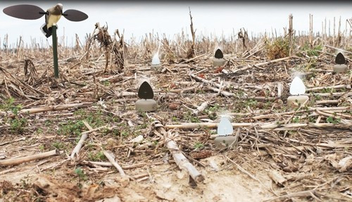 MOJO Outdoors Dove A Flicker 4 Pack – Realistic Flocking Dove Decoys with Pre-Programmed Motion