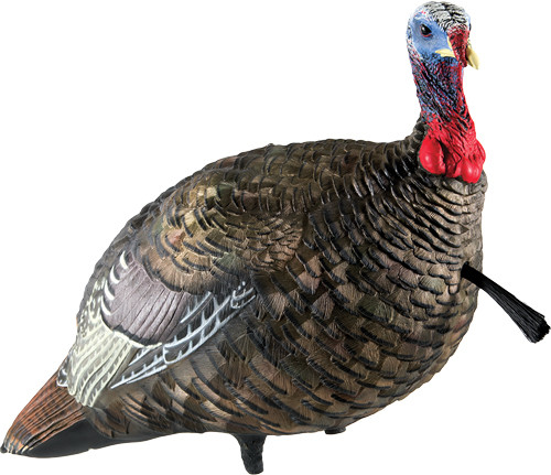 Avian X LCD Quarter Strut Jake Turkey Decoy - Lifesize Synthetic Hunting Decoy