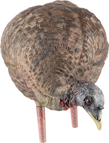 Avian X LCD Feeder Hen Decoy - Lifesize Synthetic Turkey Decoy for Hunting and Wildlife Observation