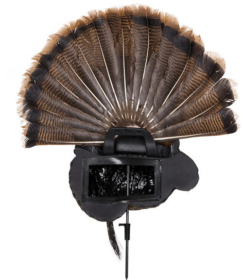 Avian X Trophy Tom Decoy - Lifesize Synthetic Turkey Decoy for Hunting and Wildlife Observation