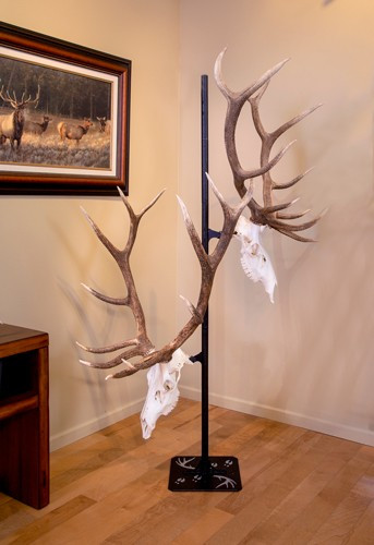 Skull Hooker Trophy Tree with 5 Brackets - Customizable Display for Skulls