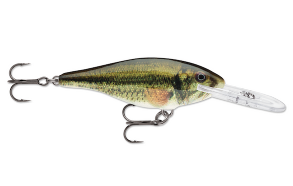 Rapala Shad Rap 05 Live Largemouth Bass Lure - SR05LBL