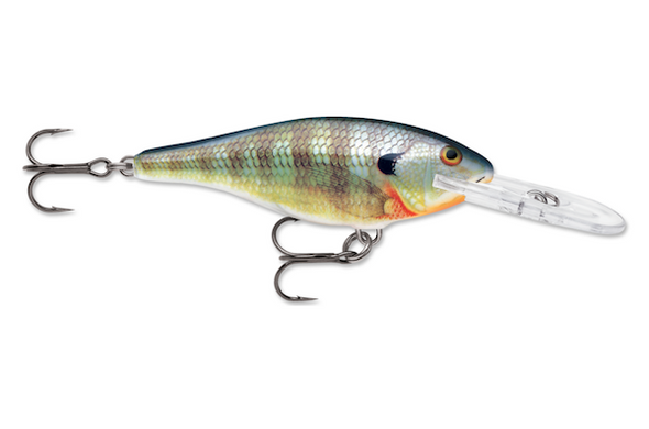Rapala Shad Rap 05 Blue Gill Lure - Effective Crankbait for Freshwater Fishing