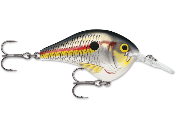 Rapala Dives-To 16 Shad - Durable Deep-Diving Crankbait for Freshwater and Saltwater Fishing