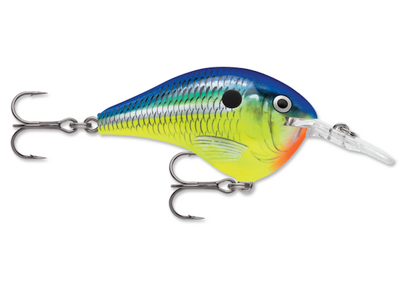 Rapala Dives-To 10 Parrot Fishing Lure - DT10PRT