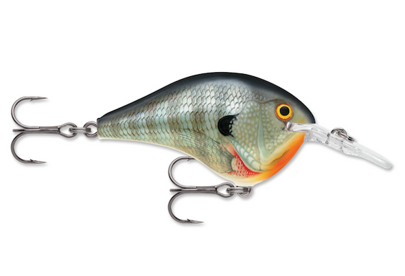 Rapala Dives-To 06 Bluegill Fishing Lure - Model DT06BG