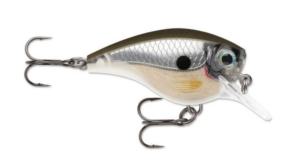 Rapala Balsa Xtreme Bait 06 Pearl Grey Shiner - Part Number BXB06PGS