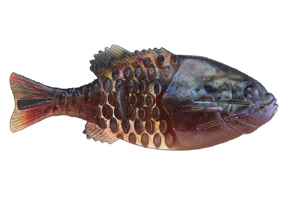 Berkley PowerBait Gilly HD Warmouth 3.5 inch Soft Plastic Bait